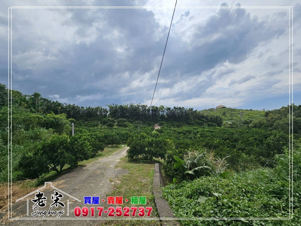 后里馬場丙建橘子園農地照片